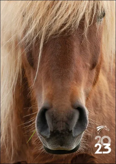 Que veulent dire les lettres FFE ?