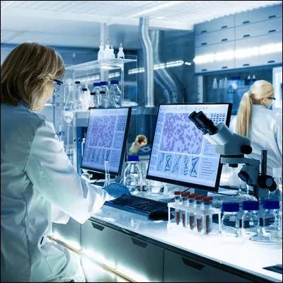 Quel équipement de laboratoire a été inventé en 1855 par Peter Desaga, un assistant du chimiste qui lui a donné son nom ?