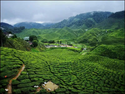 Quel pays ouvre le bal des indépendances africaines ?