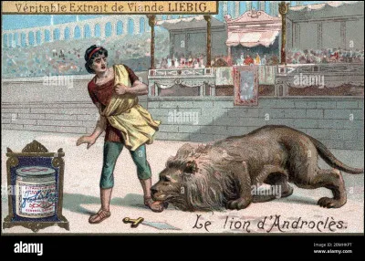 On doit le roman "Le Lion" à Joseph Kessel.