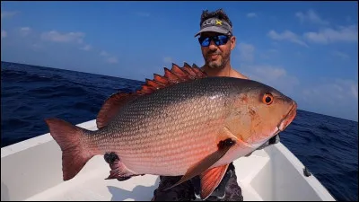 Km 115,2 : Tucquegnieux. Cette ville est bordée à l'est par deux communes : Bettainvillers et à vous de trouver !