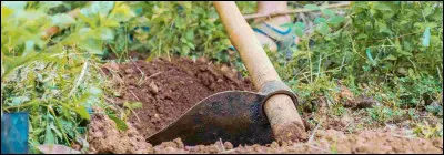 Km 125,3 : Briey.2024 étant l'année des Jeux Olympiques en France, à Paris, on ne peut éviter cette question : quel perchiste célèbre est né dans cette cité ?