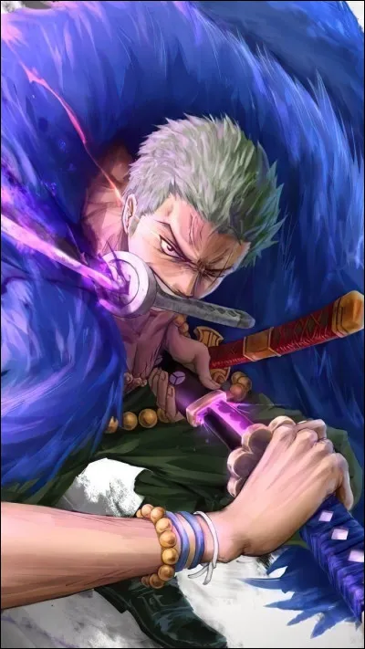Quel est le rêve de Zoro ?