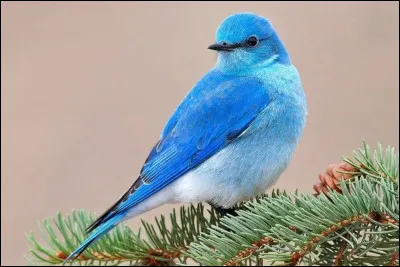 Agir seul, sans aide, c'est...