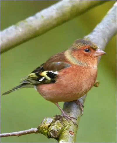 Protéger une personne, c'est...
