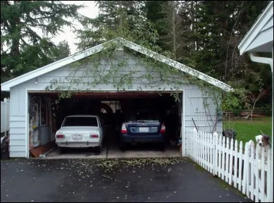 Que voit-on sur cette image ?