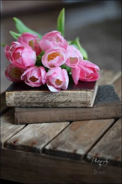 Joffo : quel est le livre de Joseph Joffo ?