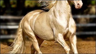 Quelle est cette couleur ?