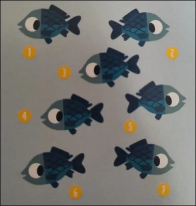 Toutes ces carpes sont identiques sauf une, laquelle ?