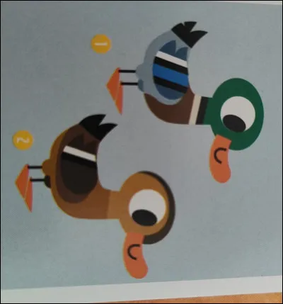 Lequel de ces canards colverts est une femelle ?