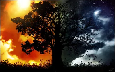 À quel écrivain doit-on le roman "Ce que le jour doit à la nuit" ?