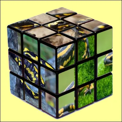 Quel indice pour trouver la bonne réponse ?