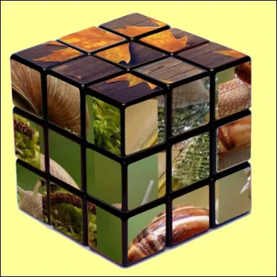 Quel indice pour trouver la bonne réponse ?