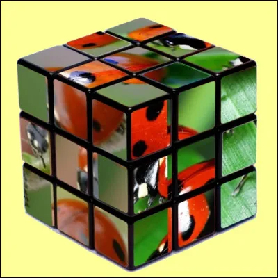 Quel indice pour trouver la bonne réponse ?