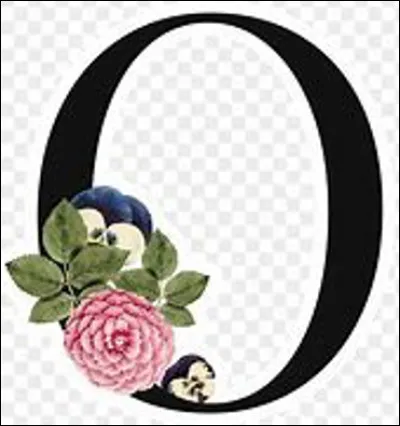 Que reprèsente la lettre O en tant que voyelle ?