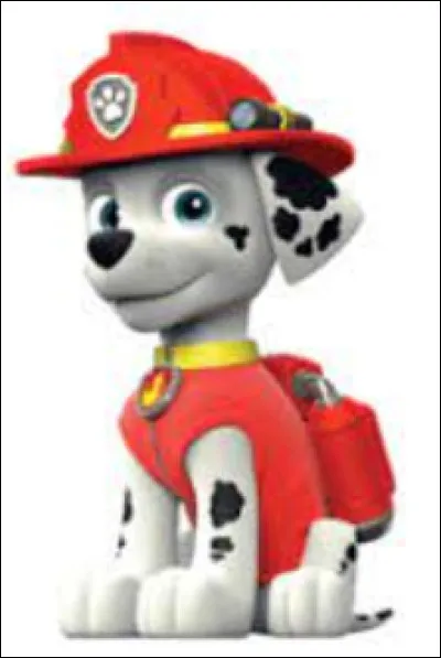 Quelle est la race de chien de Marcus ?