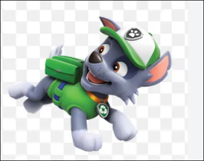 Quelle est la race de chien de Rocky ?