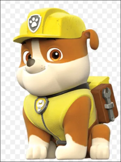 Quelle est la race de chien de Ruben ?