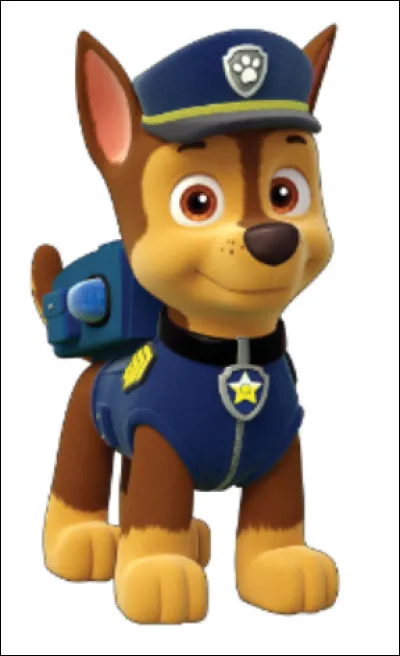 Quelle est la race de chien de Chase ?