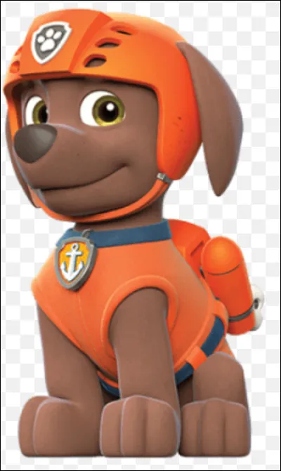 Quelle est la race de chien de Zuma ?