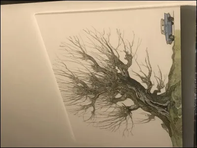 Le soir avant de dormir, tu vas :