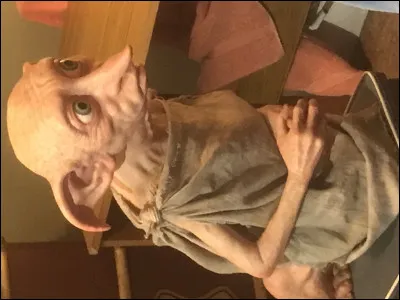 Le matin, tu manges :