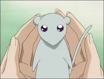 Lequel est maudit par le zodiaque chinois sous le signe du rat ?