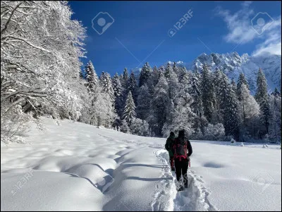 Quelle est la bonne expression ?