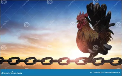 Quelle couleur ne s'apparente pas au bleu ?