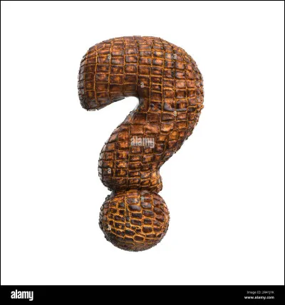 Qu'est-ce qu'un Katchina ?