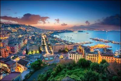 De quelle ville italienne, la pizza est-elle originaire ?