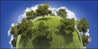 Sur quel drapeau trouve-t-on un cèdre ?