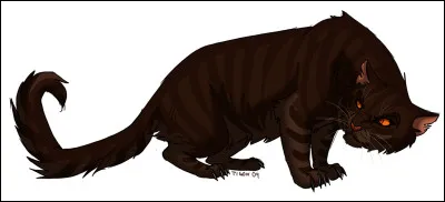 Étoile Brisée a retrouvé sa vue dans la Forêt Sombre :