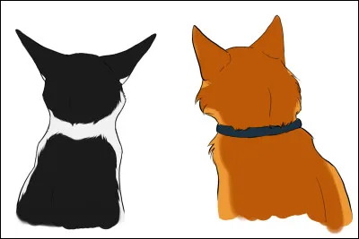 Caramel et Étoile Filante étaient amoureux :