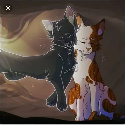 Feuille Morte était le confident de Feuille de Houx :