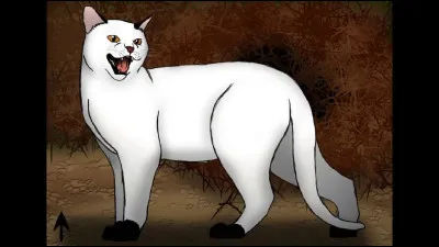 Étoile de Jais a quatre coussinets sur une patte :