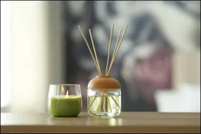 Que signifie, &ecirc;tre atteint d'anosmie :