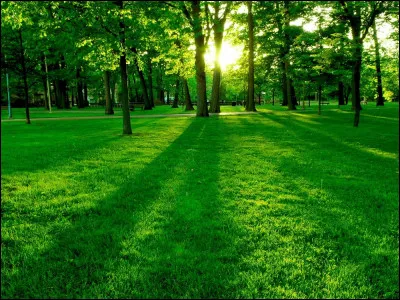 Quel acteur est à l'affiche du film "Soleil vert" ?