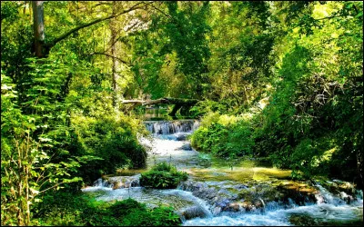 À quel groupe doit-on la chanson "Green river" ?