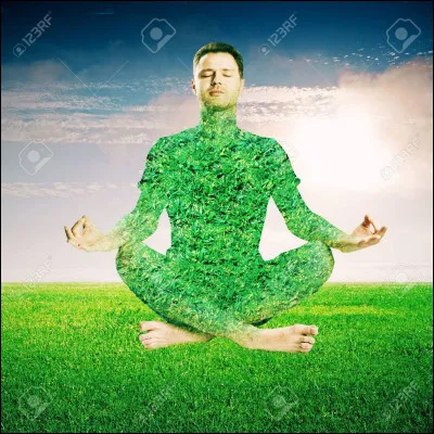 Qui a écrit le roman intitulé "Le Troisième homme" ?