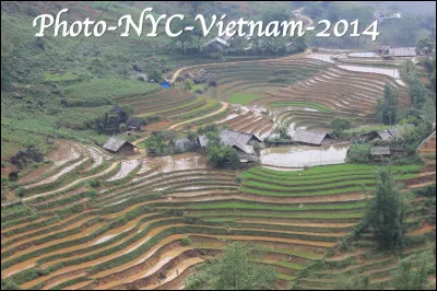 Quel est ce site surr&eacute;aliste de la vall&eacute;e de Sapa au Vietnam, des cultures en terrasses, spectaculaire d&eacute;cor, oeuvre d'art des ethnies minoritaires du pays ?