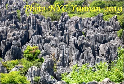 Quel est ce lieu, une formation karstique de 352 km2, situ&eacute;e dans la province du Yunnan en Chine, un ensemble surrr&eacute;aliste de lames et de colonnes verticales sortant du sol ?