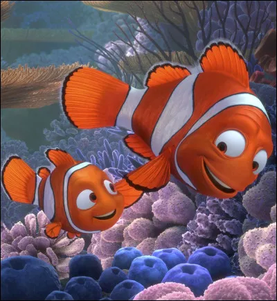 Comment s'appelle le père de Nemo ?