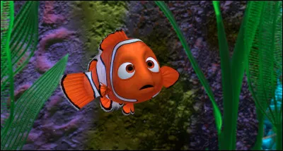 Comment s'appelle la petite fille qui possède l'aquarium où Nemo est emprisonné ?