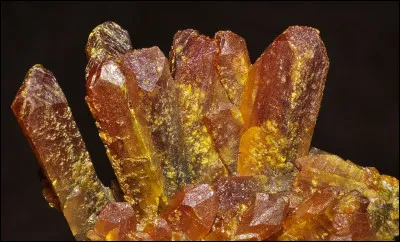 Et en 1973, que met Francisco Rovira Beleta avec roses rouges ?