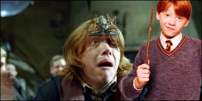 Dans la saga "Harry Potter", qui est le doubleur français de Ron ?