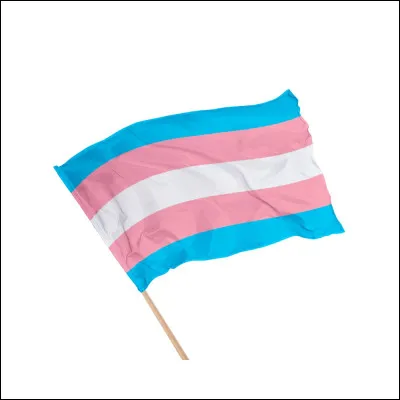 Et quel est se drapeau ?