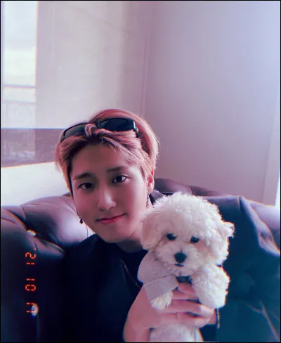 Comment s'appelle son chien ?