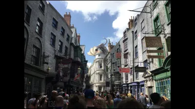 Quatrième situation, des priorités ! Tu arrives au chemin de Traverse. Avec tes priorités personnelles et selon ta liste d'effets, tu préfères aller vers quelle boutique en premier ?