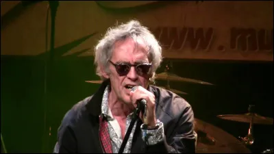 Qui est ce chanteur de rock français ?